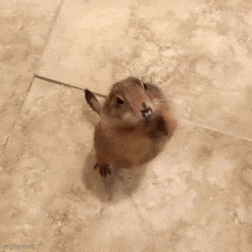 Хочу на ручки