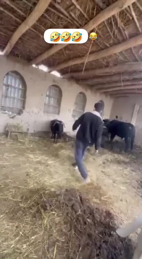 Доигрался - этого и следовало ожидать )))