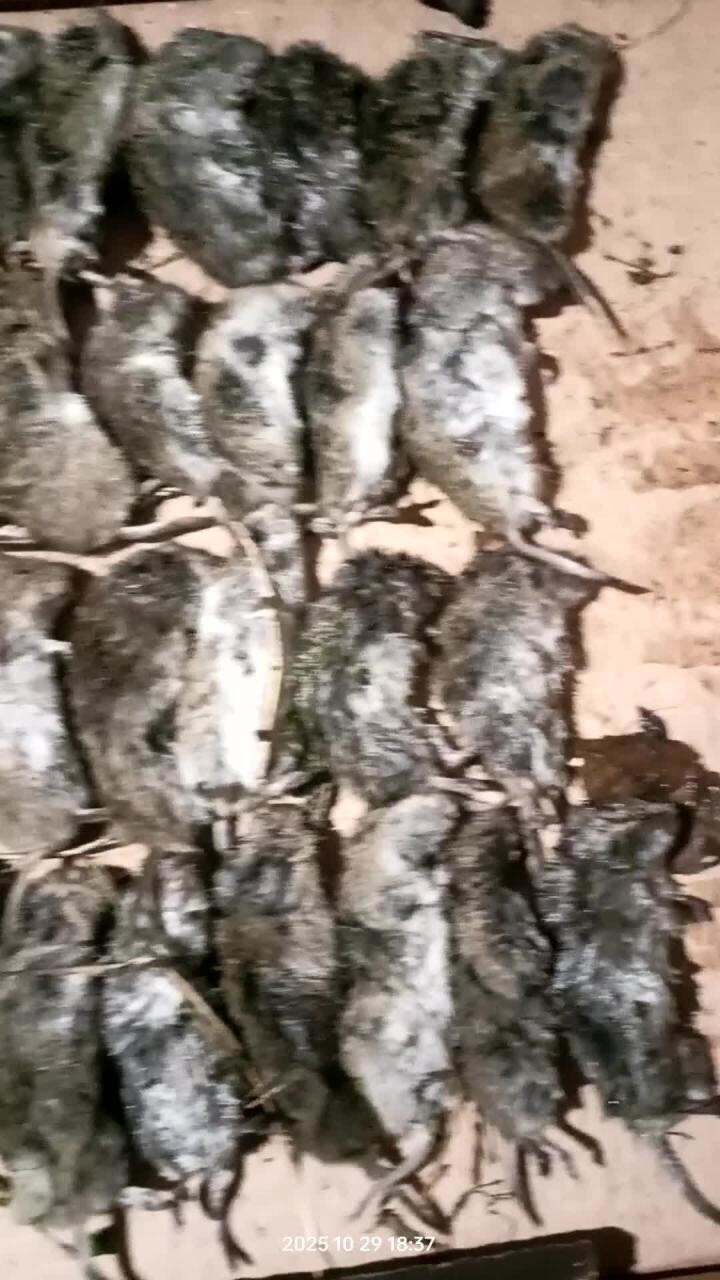 Бригадная работа