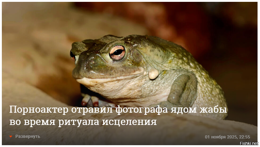 Свежие новости