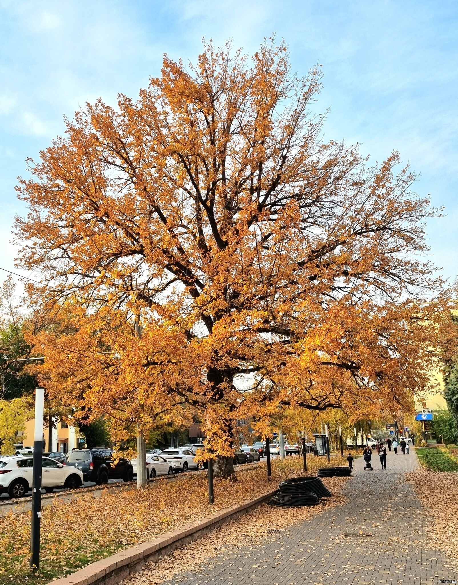 Алматинская осень