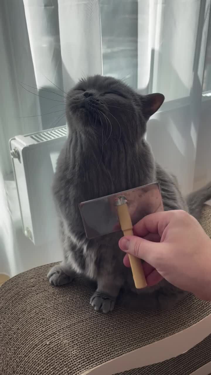 Наслаждение от процесса)