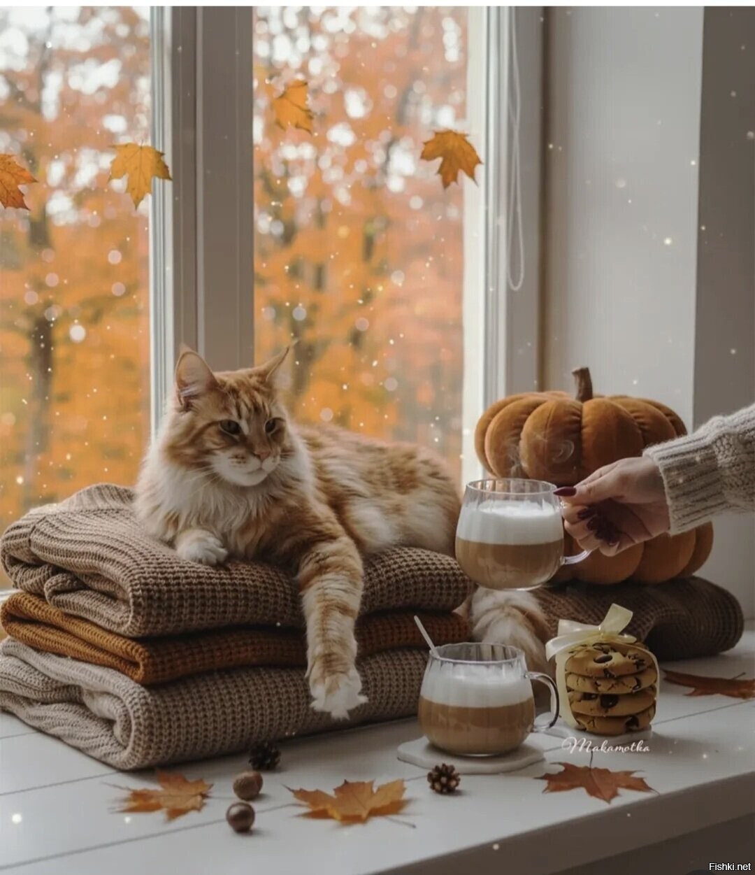 Доброе утро