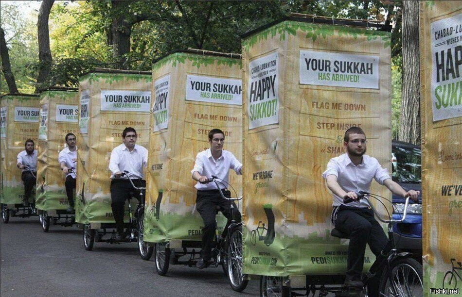 Яндекс доставка обзавидовалась &quot;Твоей Суке&quot; 