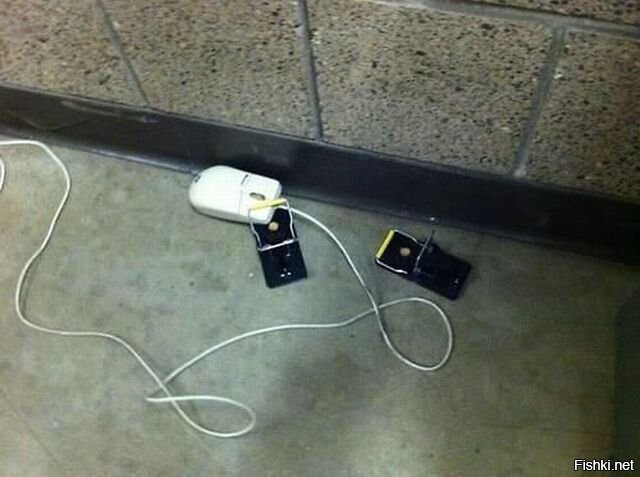 Попалась всётаки