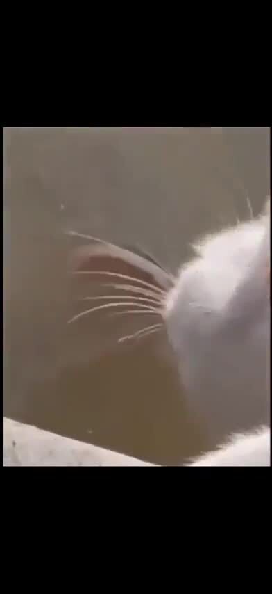 Не мешай пить