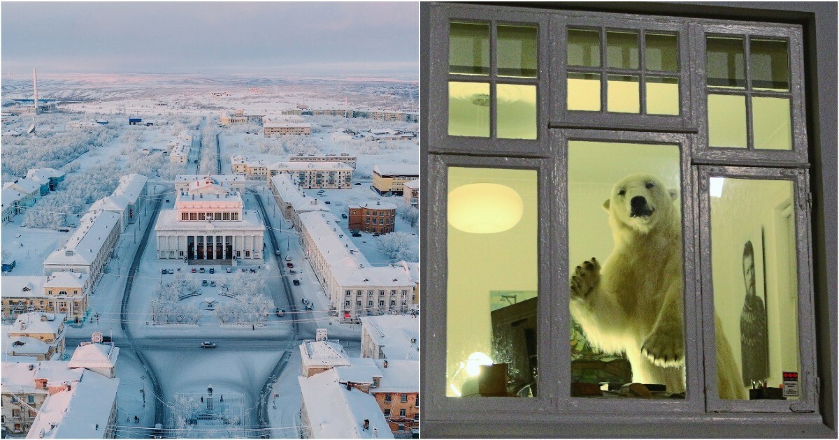 Море за окном, но не то: государство заманивает россиян в Арктику