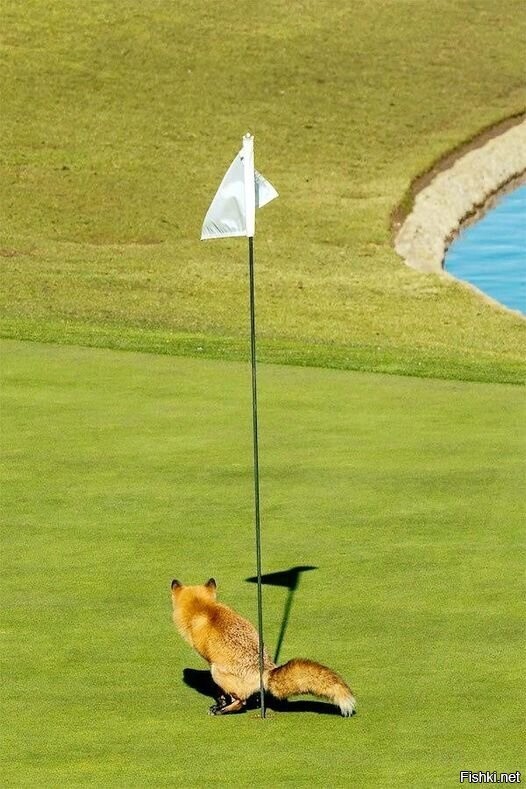 Точное попадание