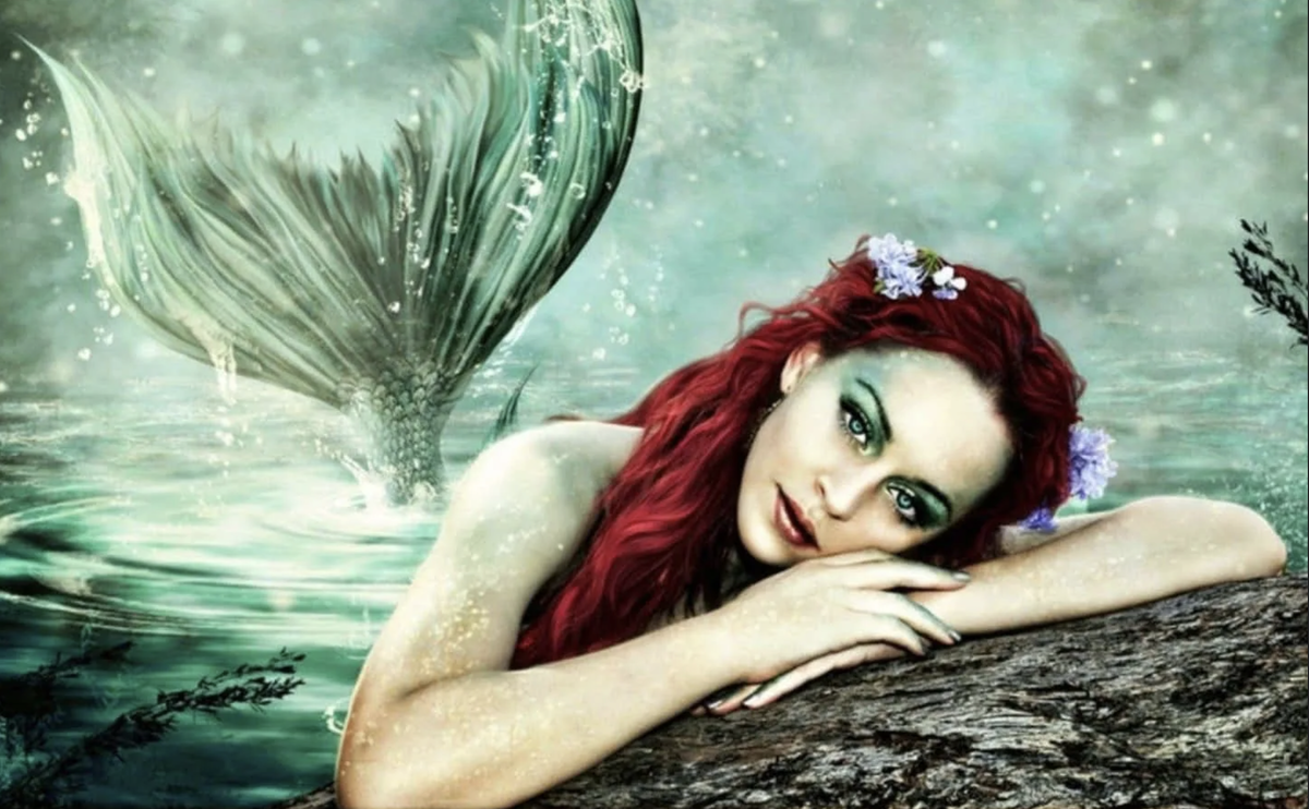 Русалки существуют — просто мы ищем не там