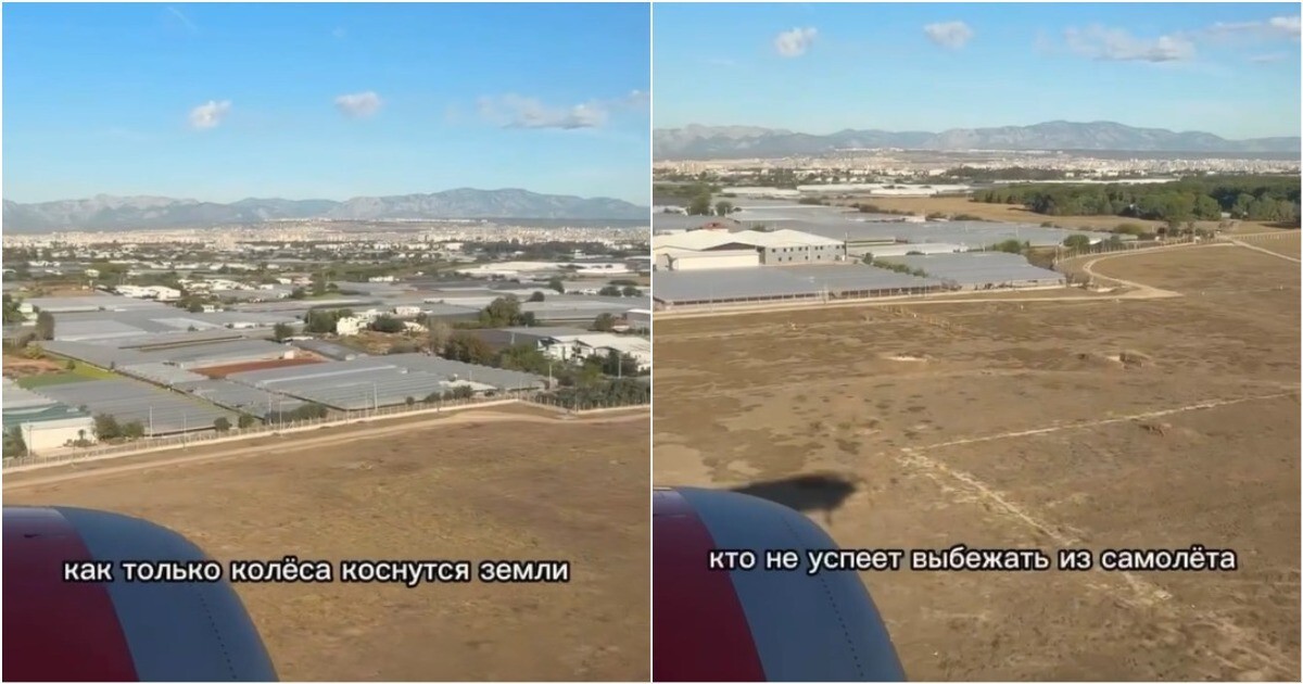 Пассажиры vs пилоты: идеальное объявление, которое никогда не прозвучит