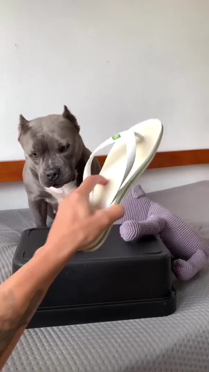 Как есть таблетки