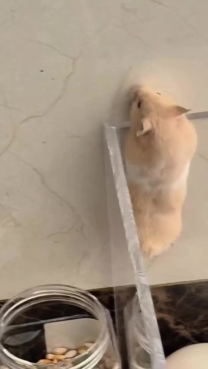 Миссия выполнима