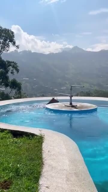 Терапевтический бассейн для лошадей в Колумбии