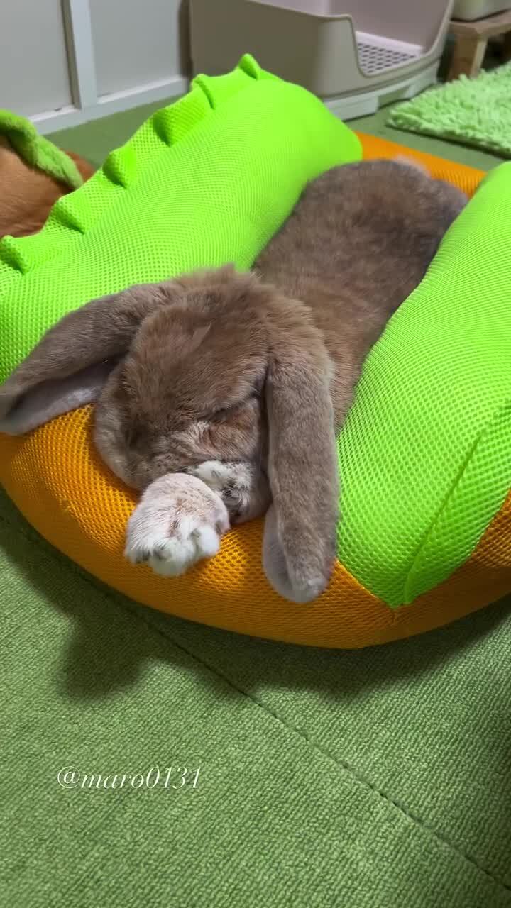 Доброе утро