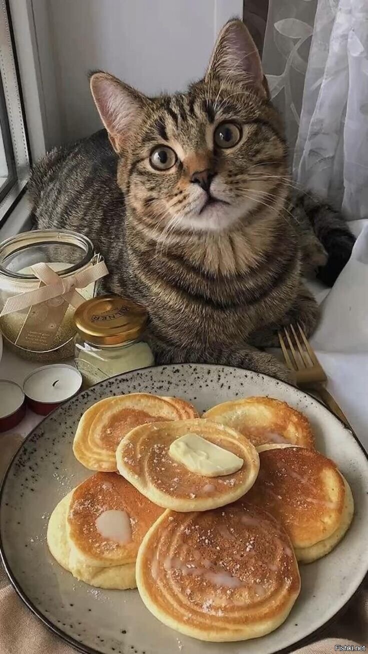 Доброе утро