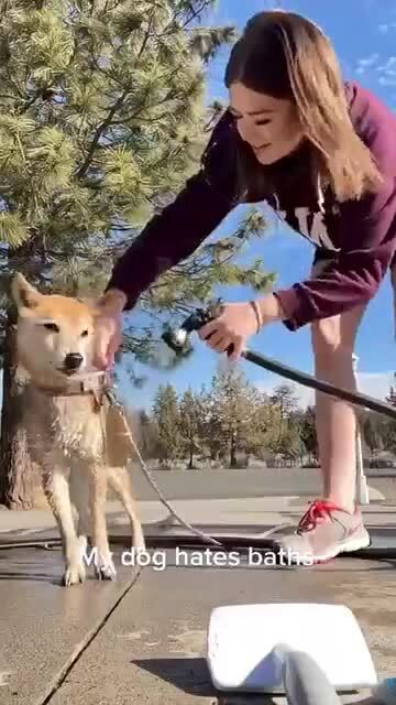 Не хотят купаться )))