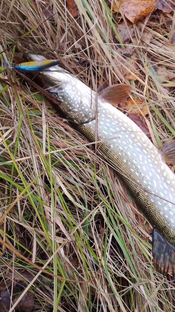 Сегодня интереснее