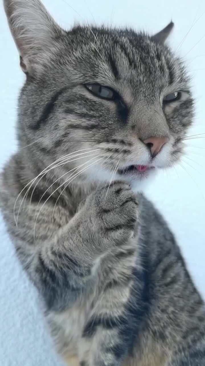 Взгляд)