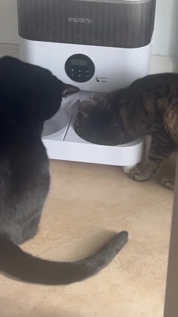 &quot;воришка&quot; 