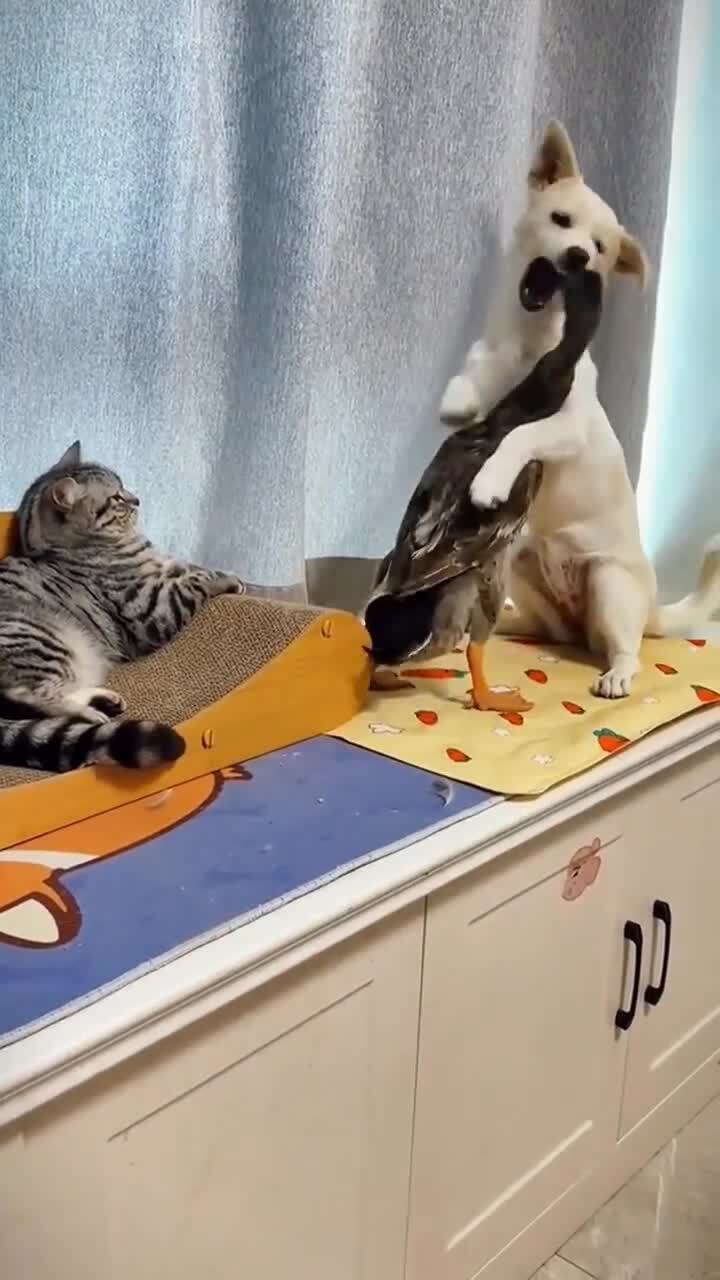 Трудно в большой семье