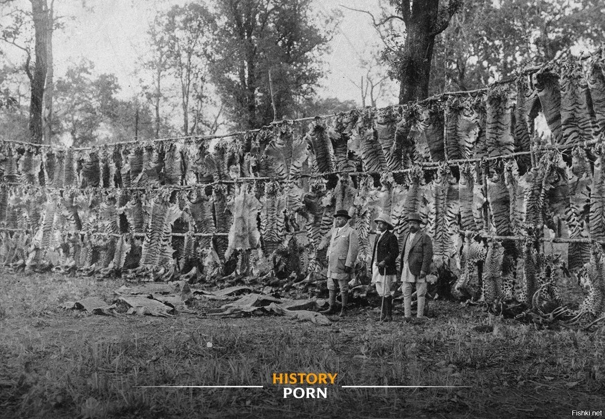 В 1911 году король Георг V совершил десятидневную охотничью экспедицию в Непал