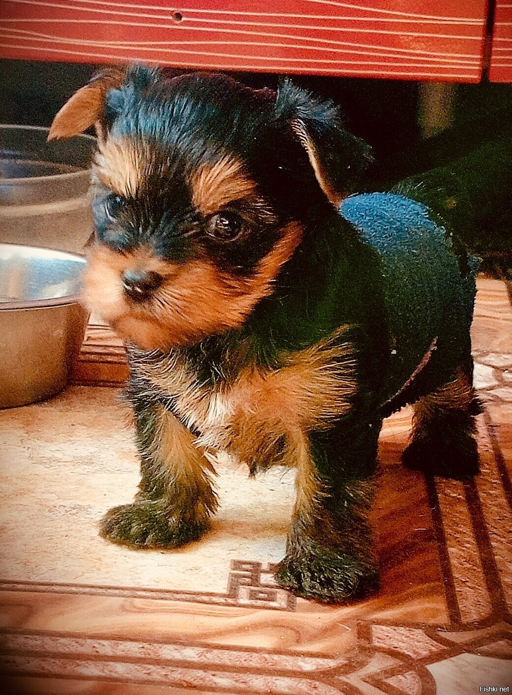 250 грамм суровости появилось у нас вчера