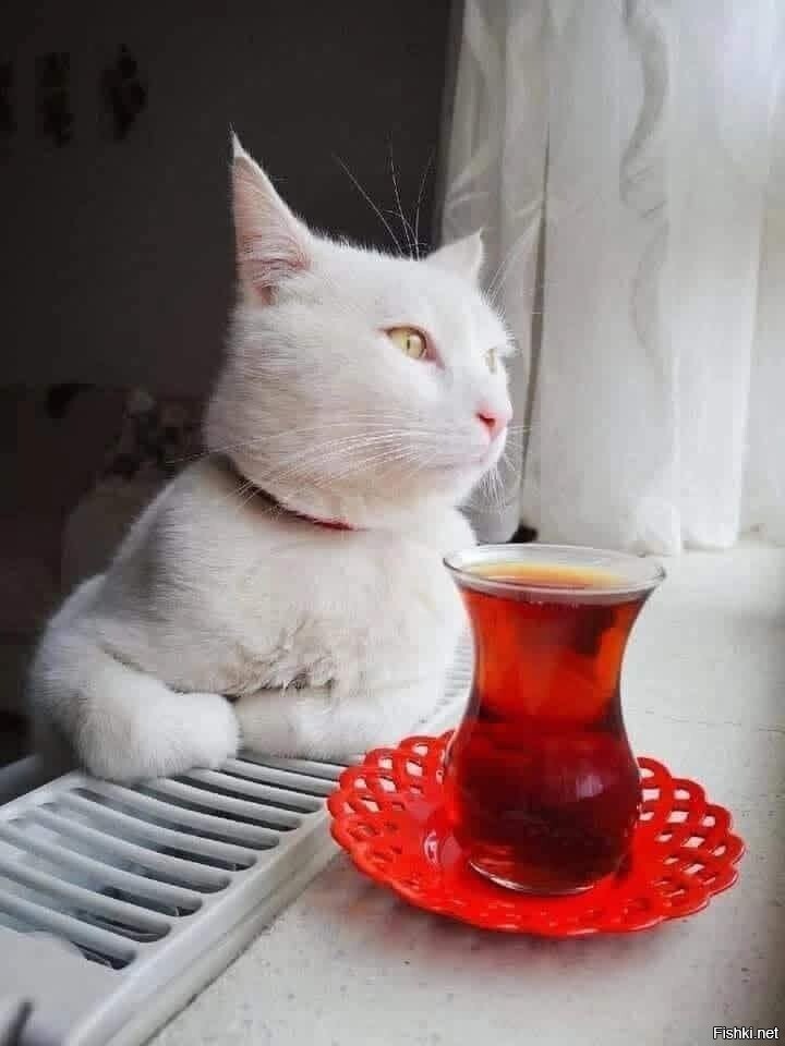 С добрым утром