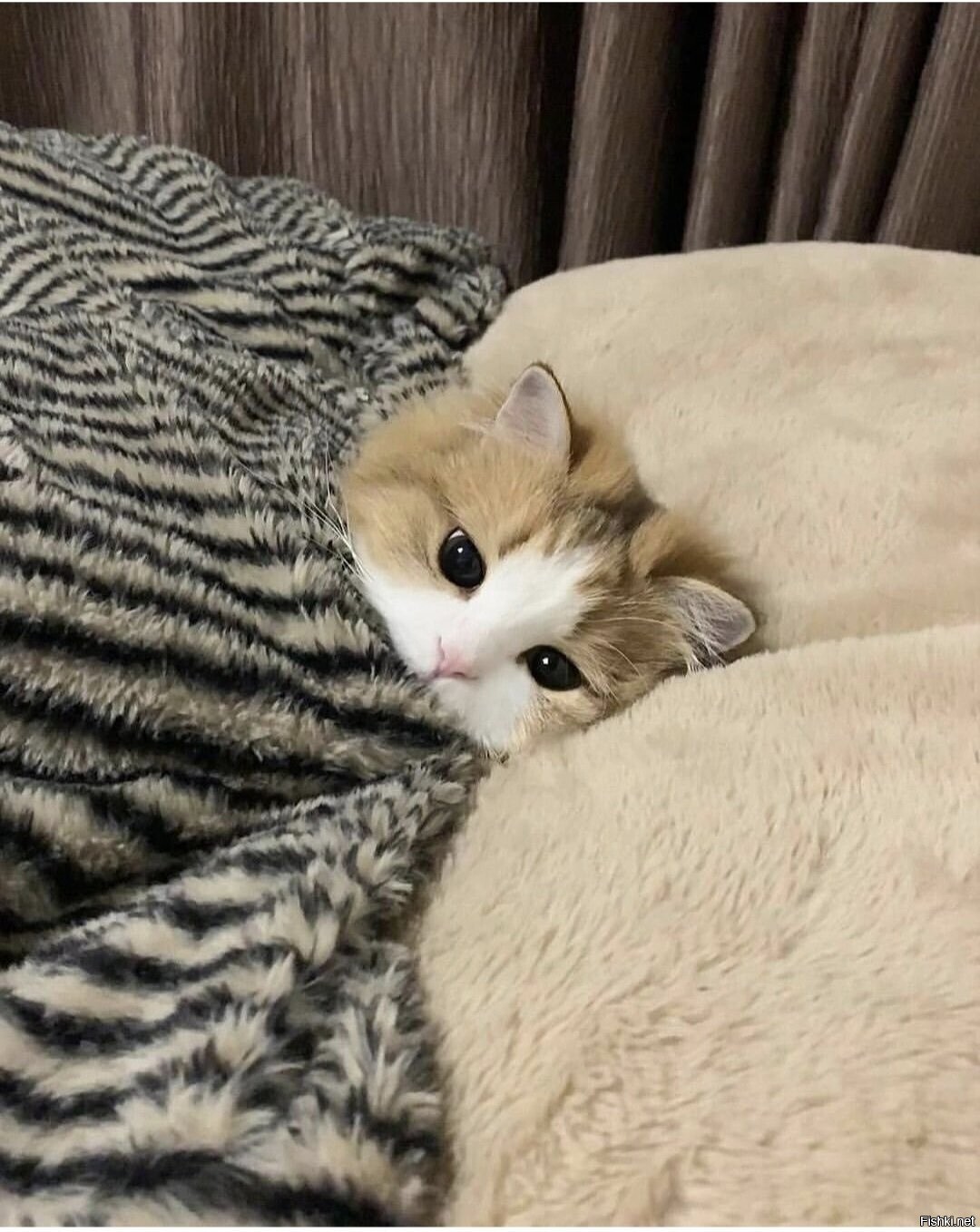 Доброе утро