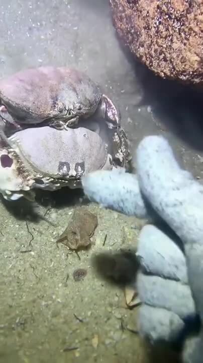 Держись друзей - голодным не останешься