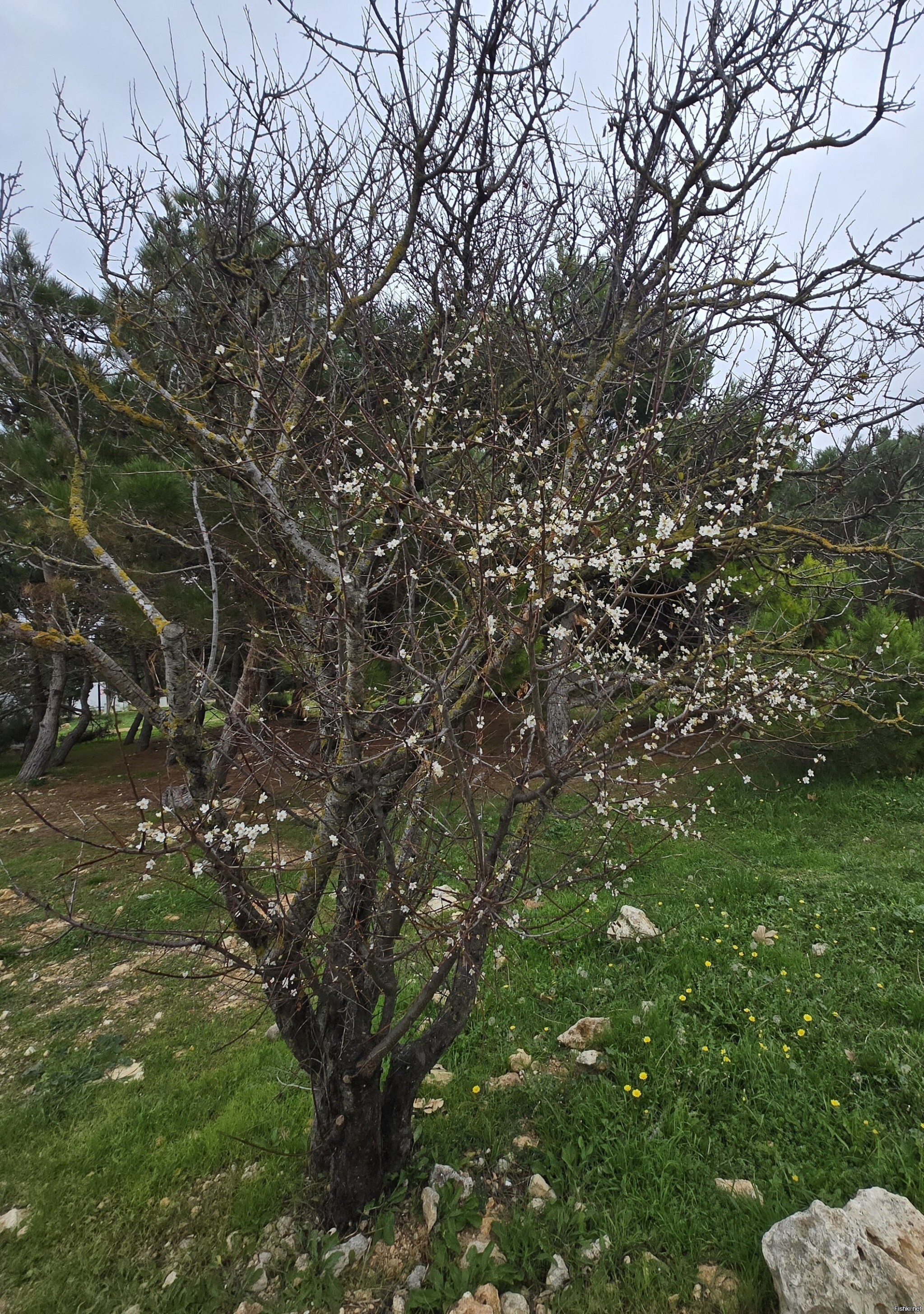 Шёл четвёртый день ноября