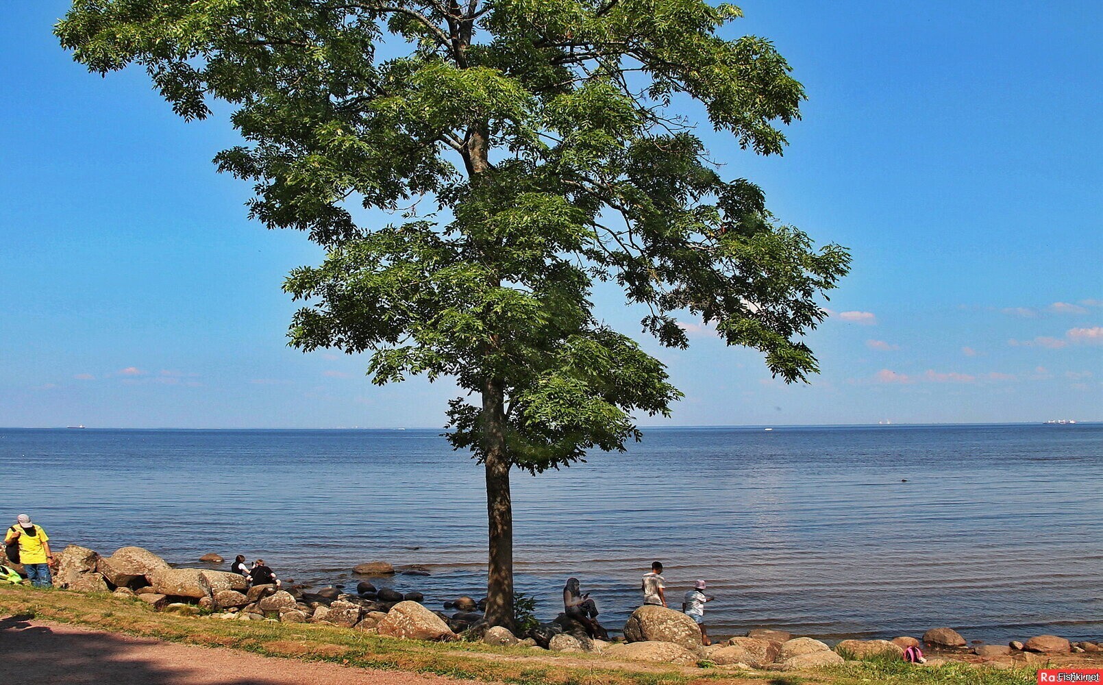 На берегу Финского залива в Петергофе