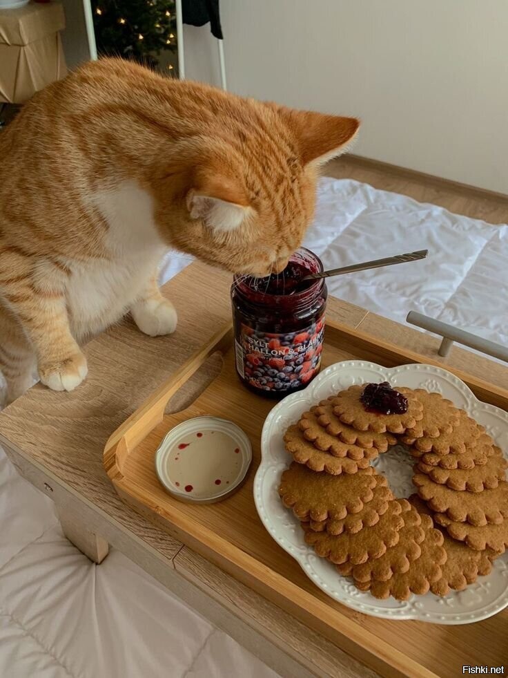 Доброе утро