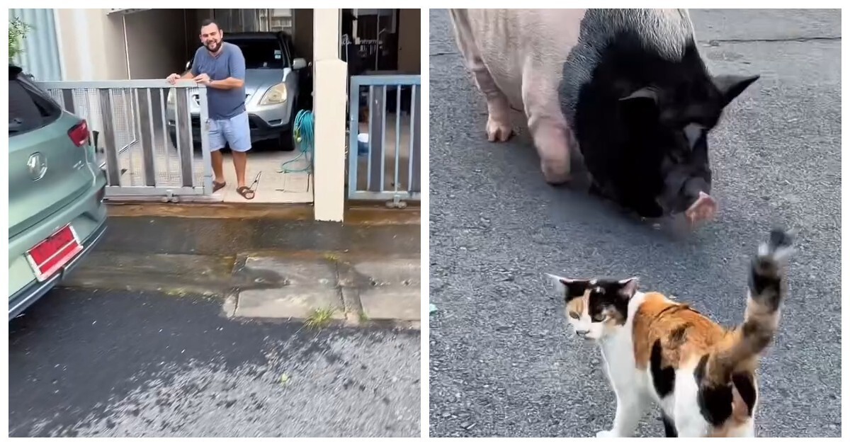 Мужчина снял двухэтажный дом на Пхукете за 30 тысяч рублей в месяц