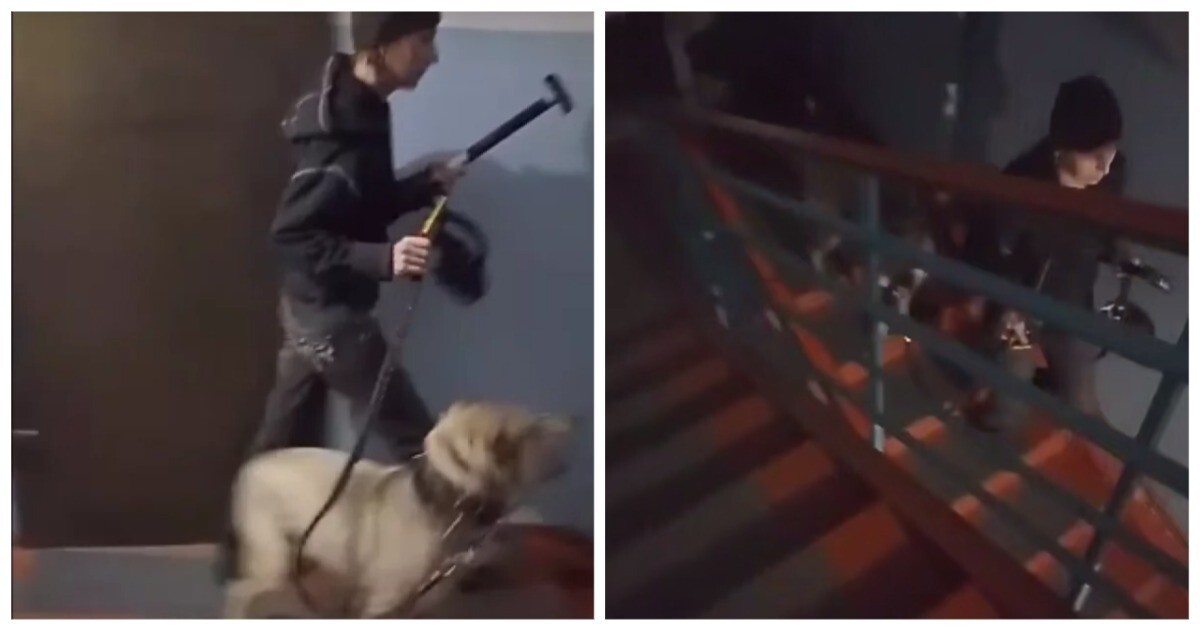 В Омске женщина с молотком и отверткой пугает соседей