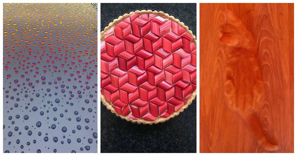 30 примеров идеальной гармонии, которые станут усладой для глаз перфекционистов