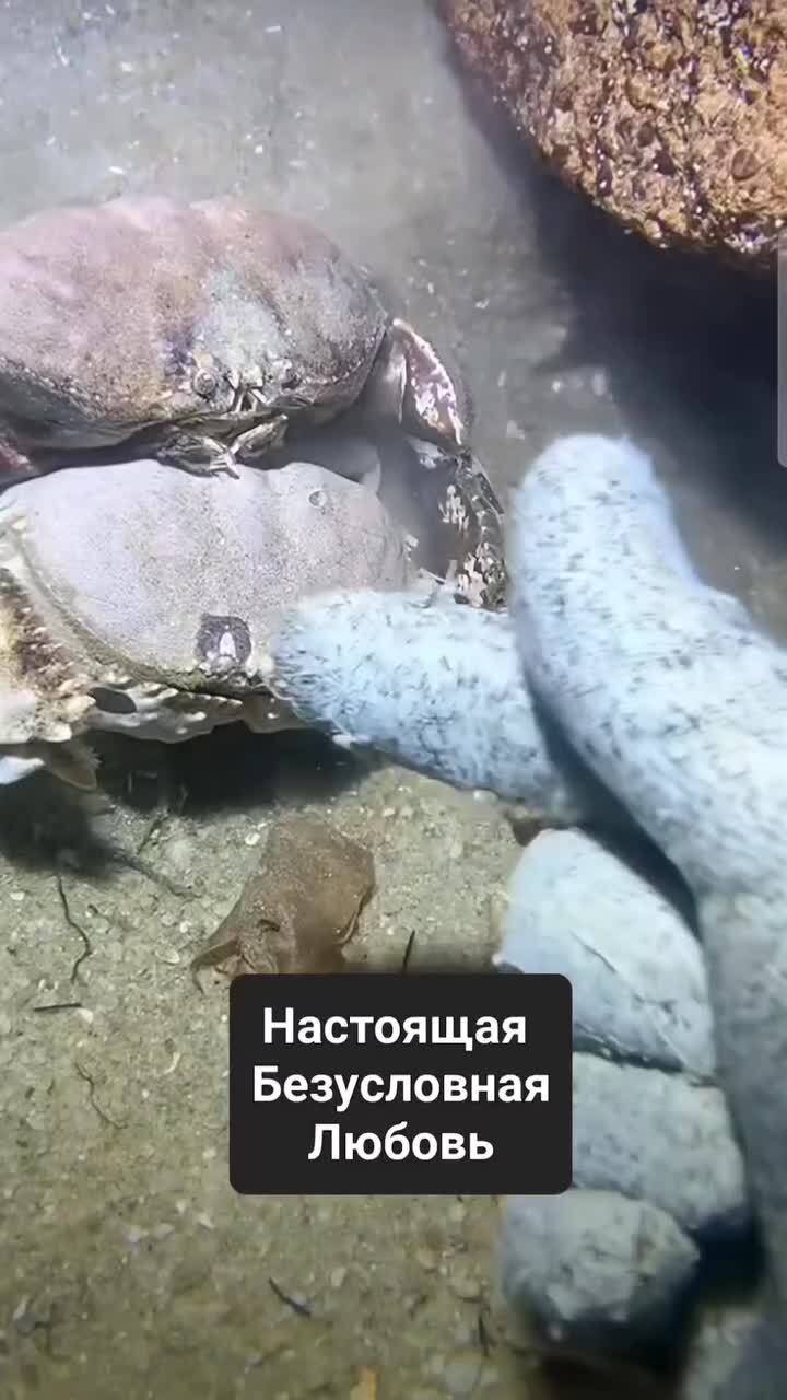 Как он её держит, спасает, обхватывает