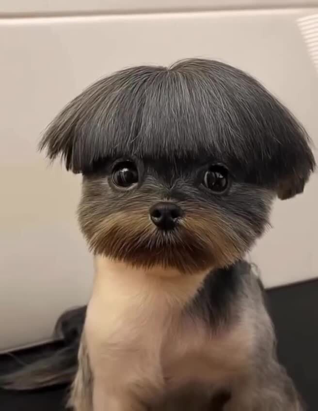 Когда тебя подстригала мама