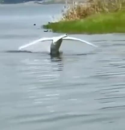 Стабилизированный заход