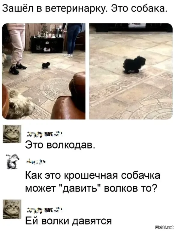 Солянка