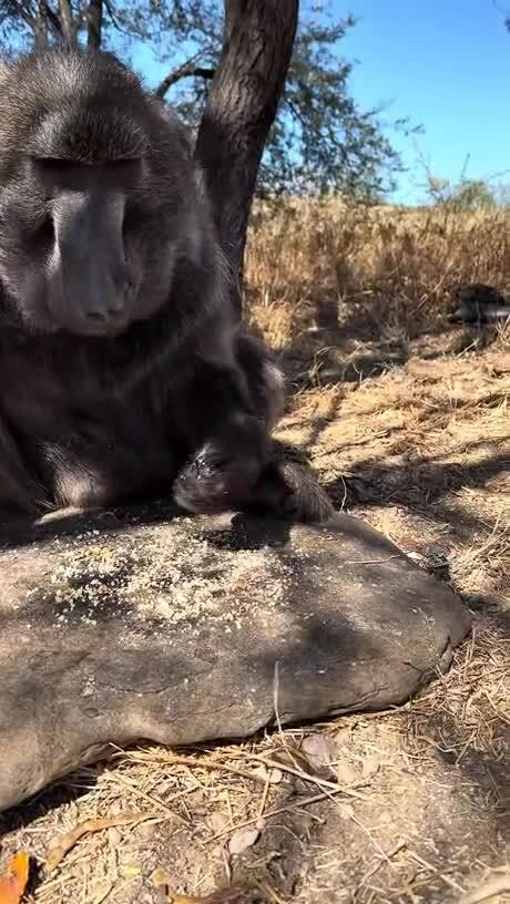 Ты куда