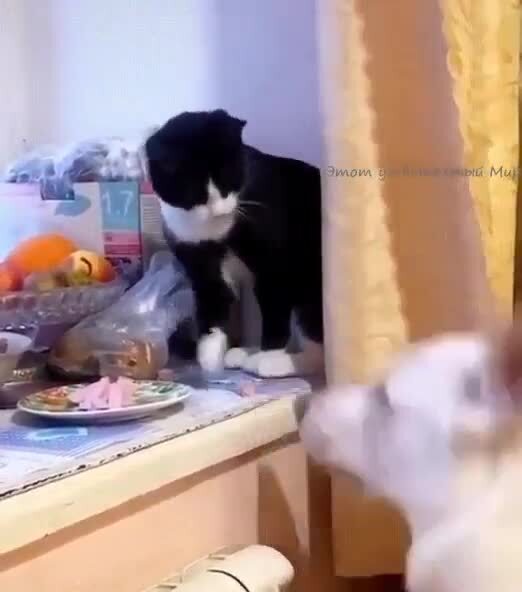 ...по предварительному сговору...