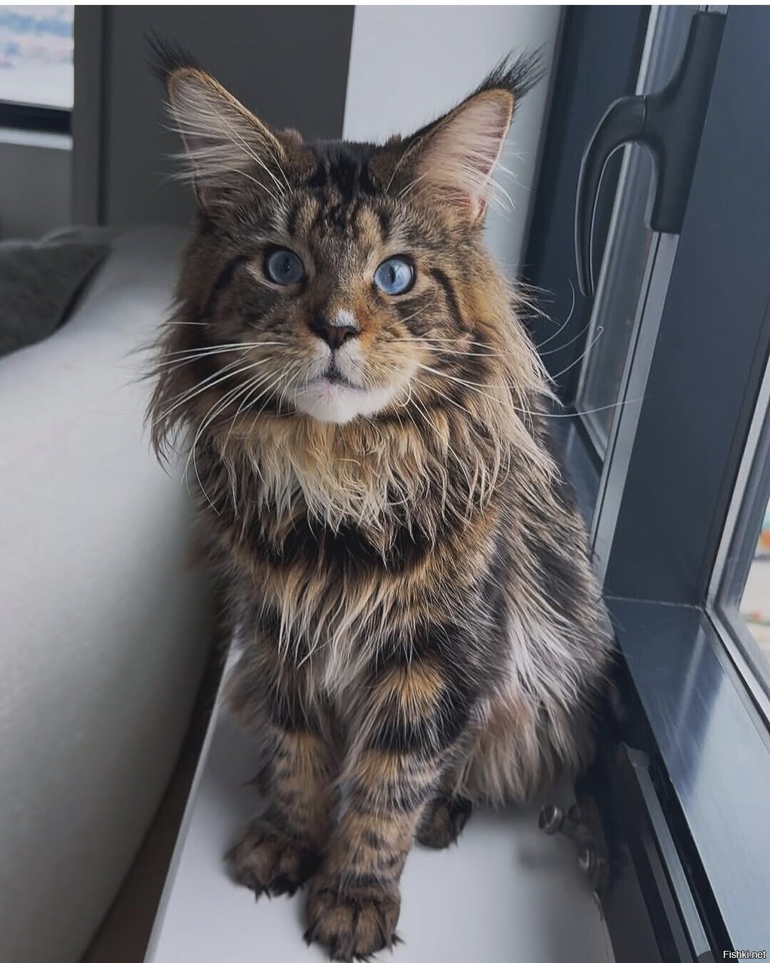 Доброе утро