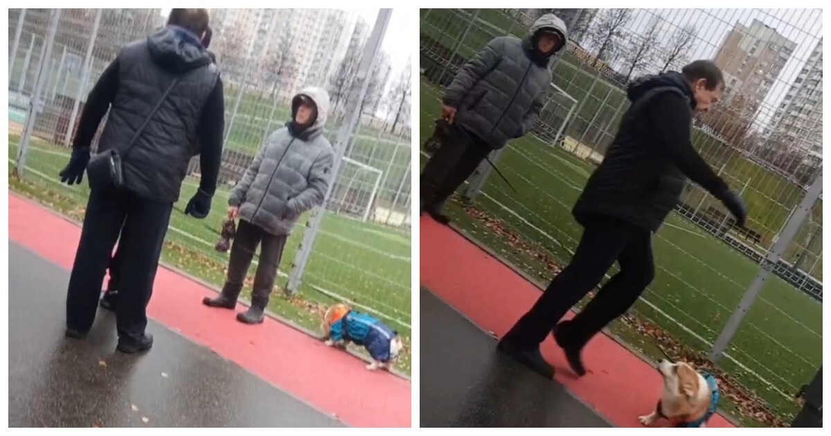 В Москве мужчина напал на подростков и пнул их собаку