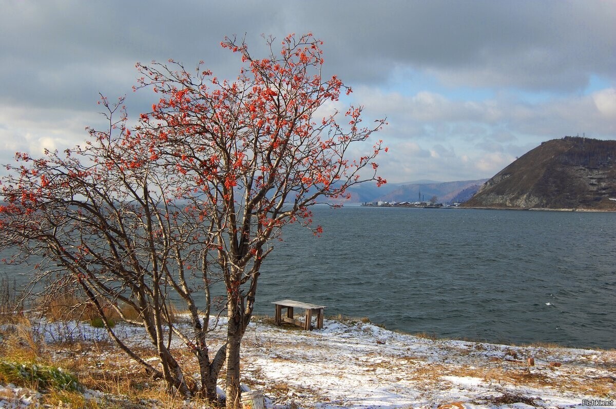 Зима уж близится )