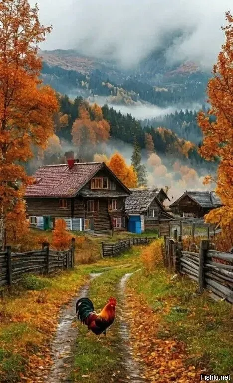 Сельский час