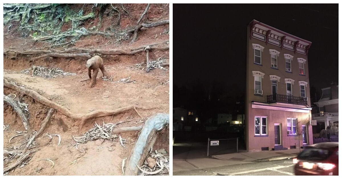 20 ярких примеров того, как виртуозно глаза и мозг могут нас обманывать, создавая новую реальность