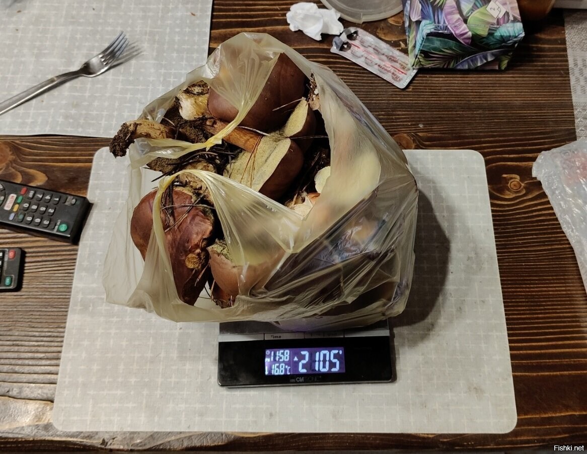 Насобирал за час)