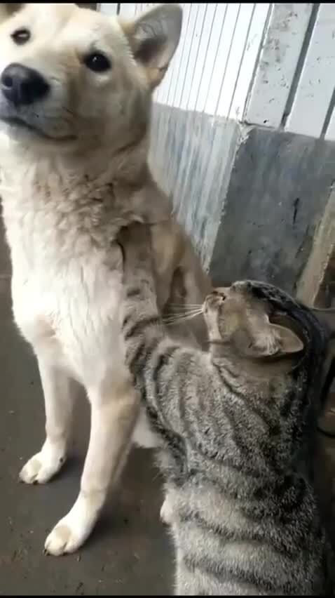 Кому массажик)