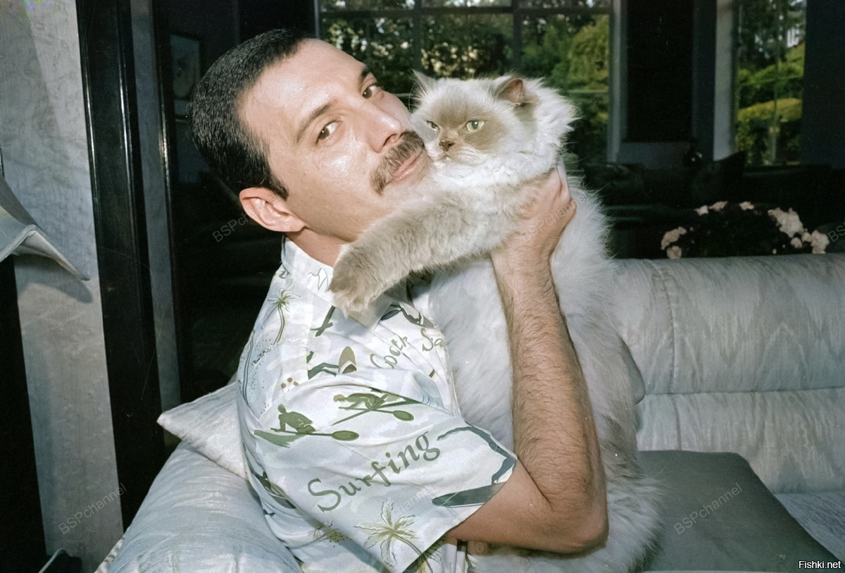 Фёдор Меркурьев