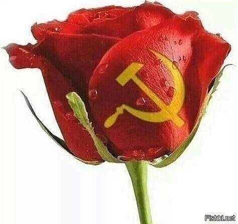 красный день календаря